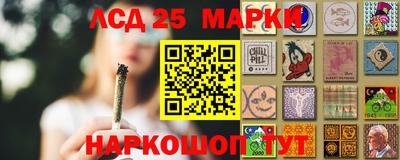 крисы Абакан