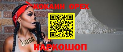 крисы Абакан
