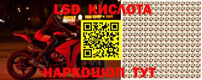 крисы Абакан