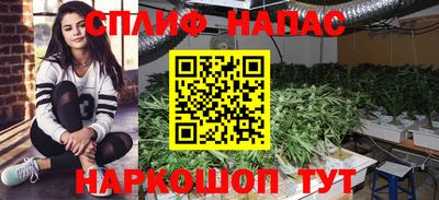 крисы Абакан